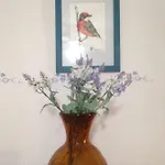 Casa Violetas *