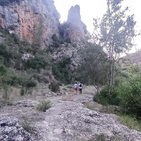 Casa Violetas